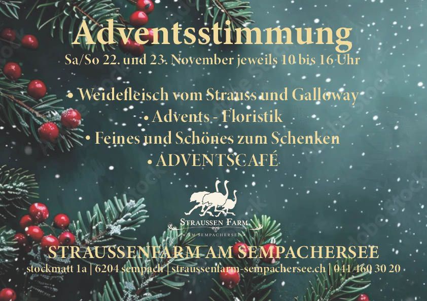 A4Weihnachten 2025Flyer.jpg